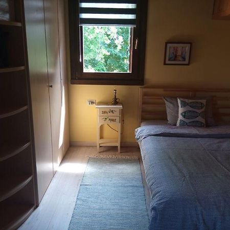 Apartament Haus Heidi La Zecchina Zewnętrze zdjęcie